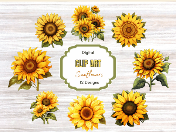 Sunflower Autumn Flower Clip Art Guide